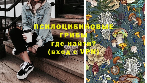 MDMA Premium VHQ Богородицк