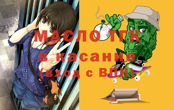 тгк Снежногорск