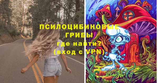 COCAINE Богородск
