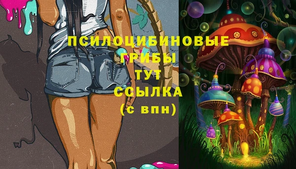 MDMA Premium VHQ Богородицк