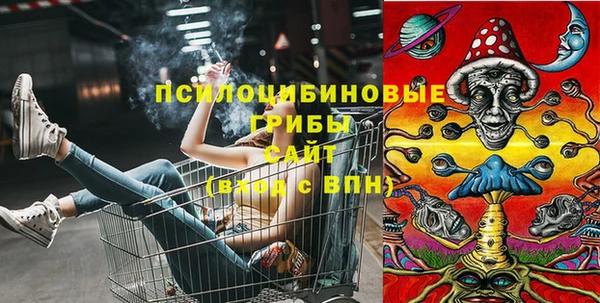 COCAINE Богородск