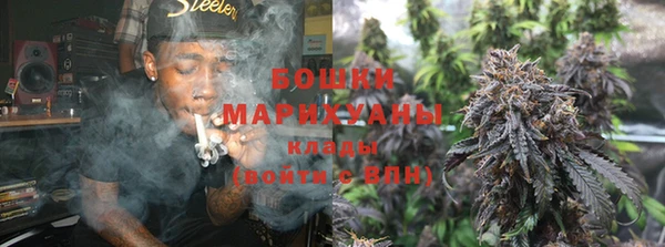каннабис Богданович
