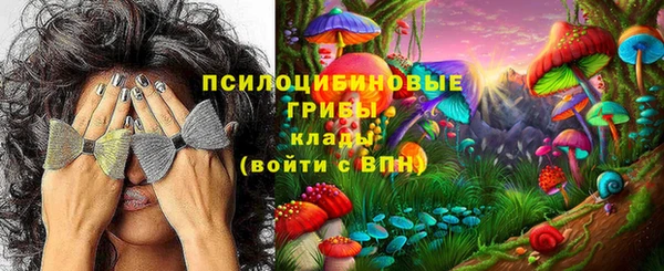 MDMA Premium VHQ Богородицк