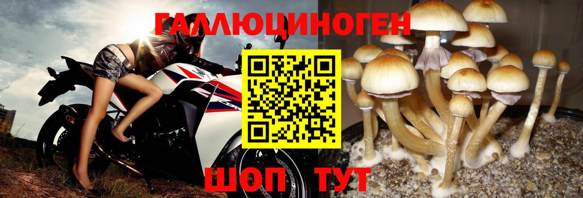 Галлюциногенные грибы Magic Shrooms Реж